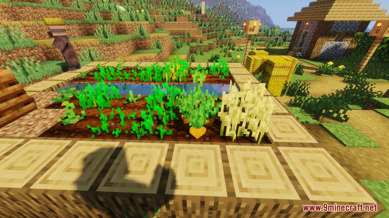 Close up view of fully grown 3D wheat and carrot crops