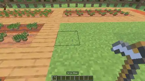 Farming 3d Addon Mod Screenshot 5 Player holding iron hoe near custom crops in Farming 3d Addon