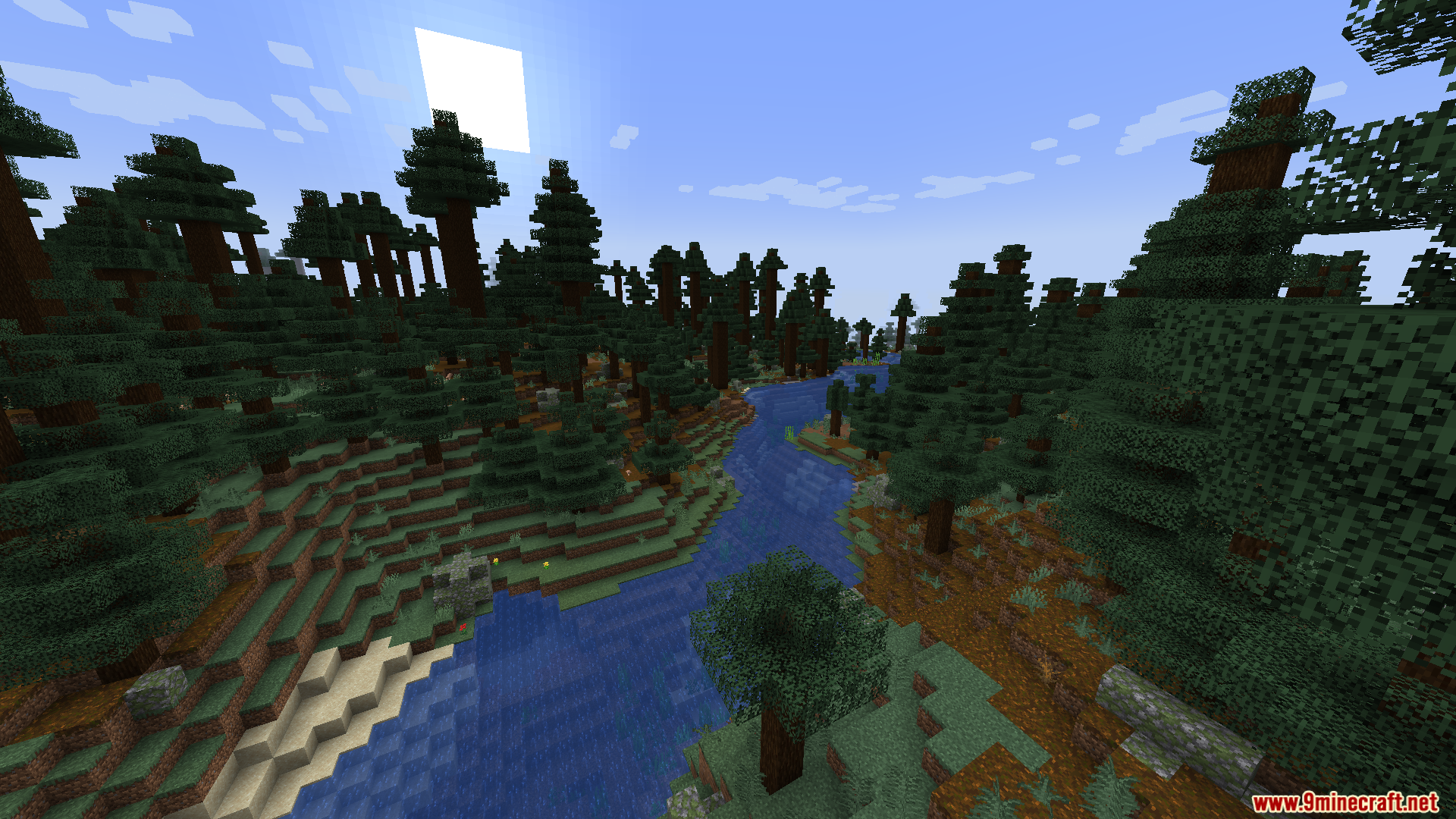 **Accuracy:** Describe