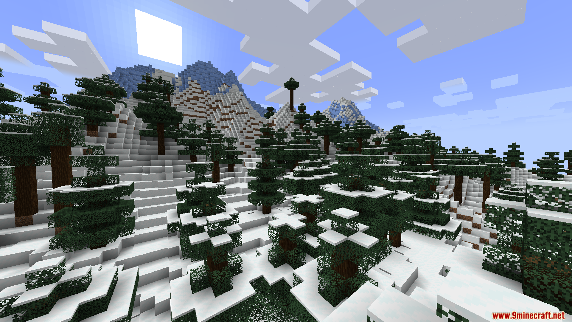 Hình ảnh cho thấy