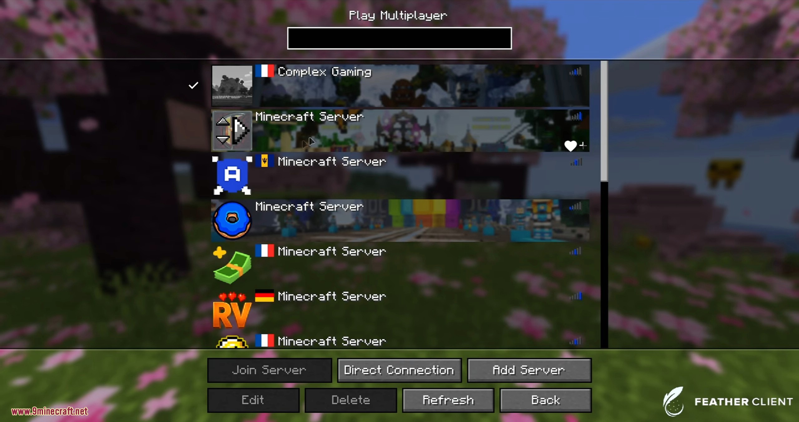A list of multiplayer servers to join and play