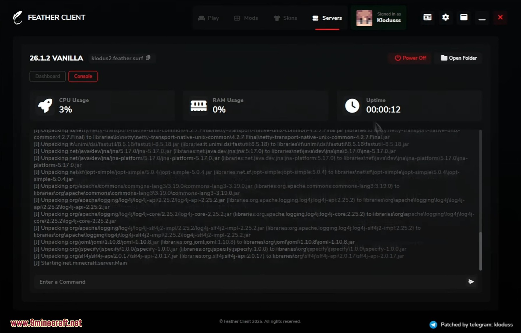 Monitoring server performance and console log from the launcher
