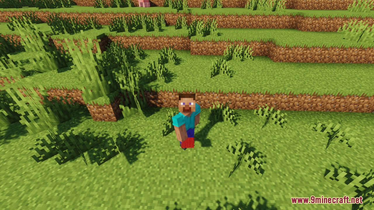 The grass blocks have a more detailed, fluffy texture