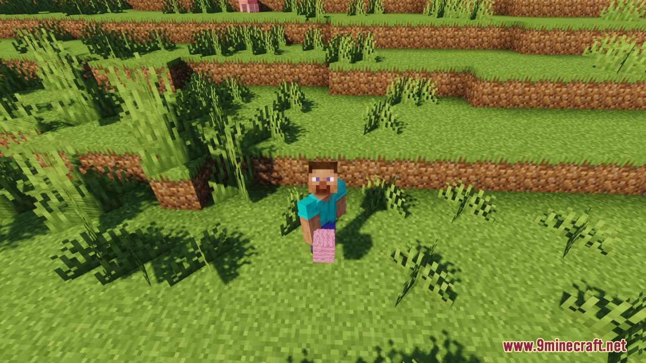 Player character standing on a pink fluffy carpet block