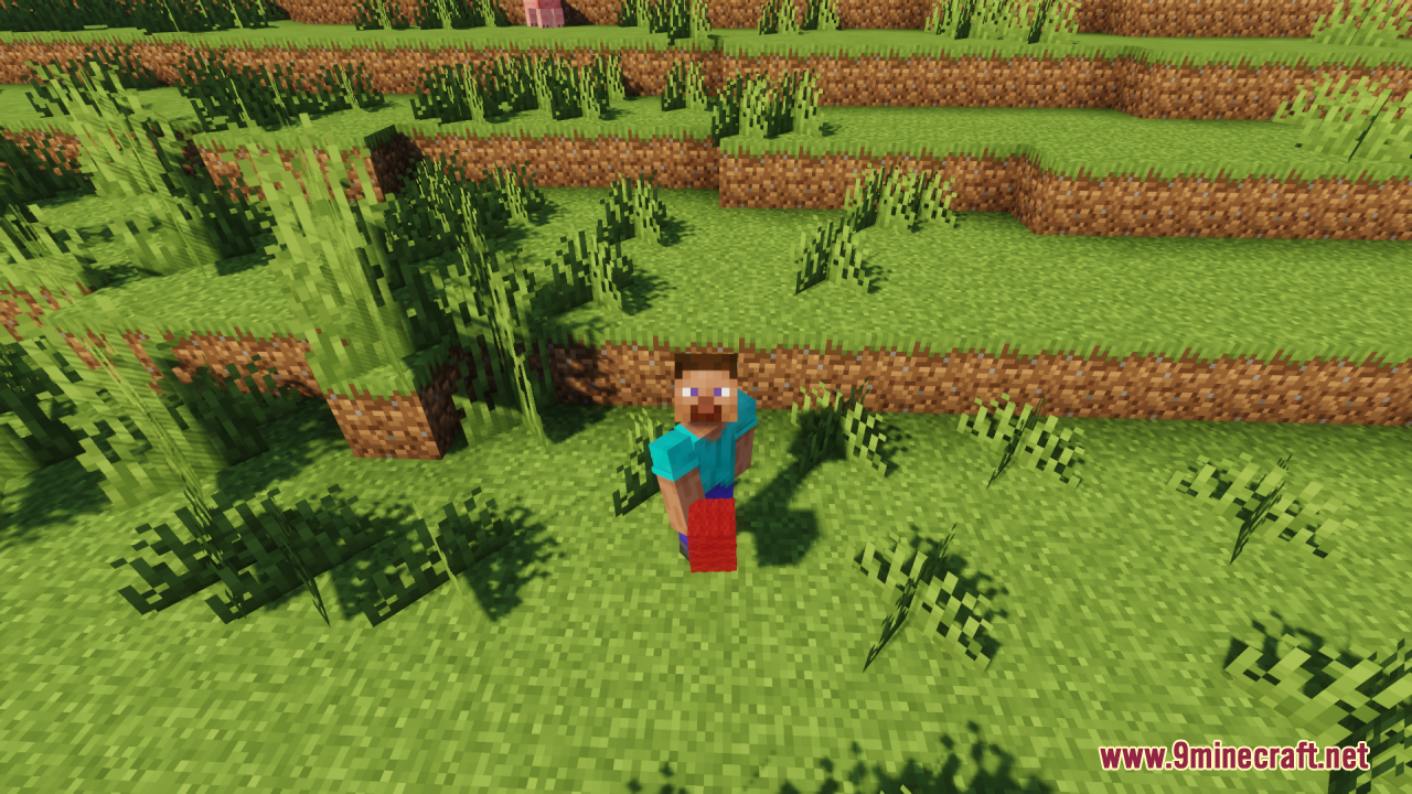 Player character standing on a red fluffy carpet block