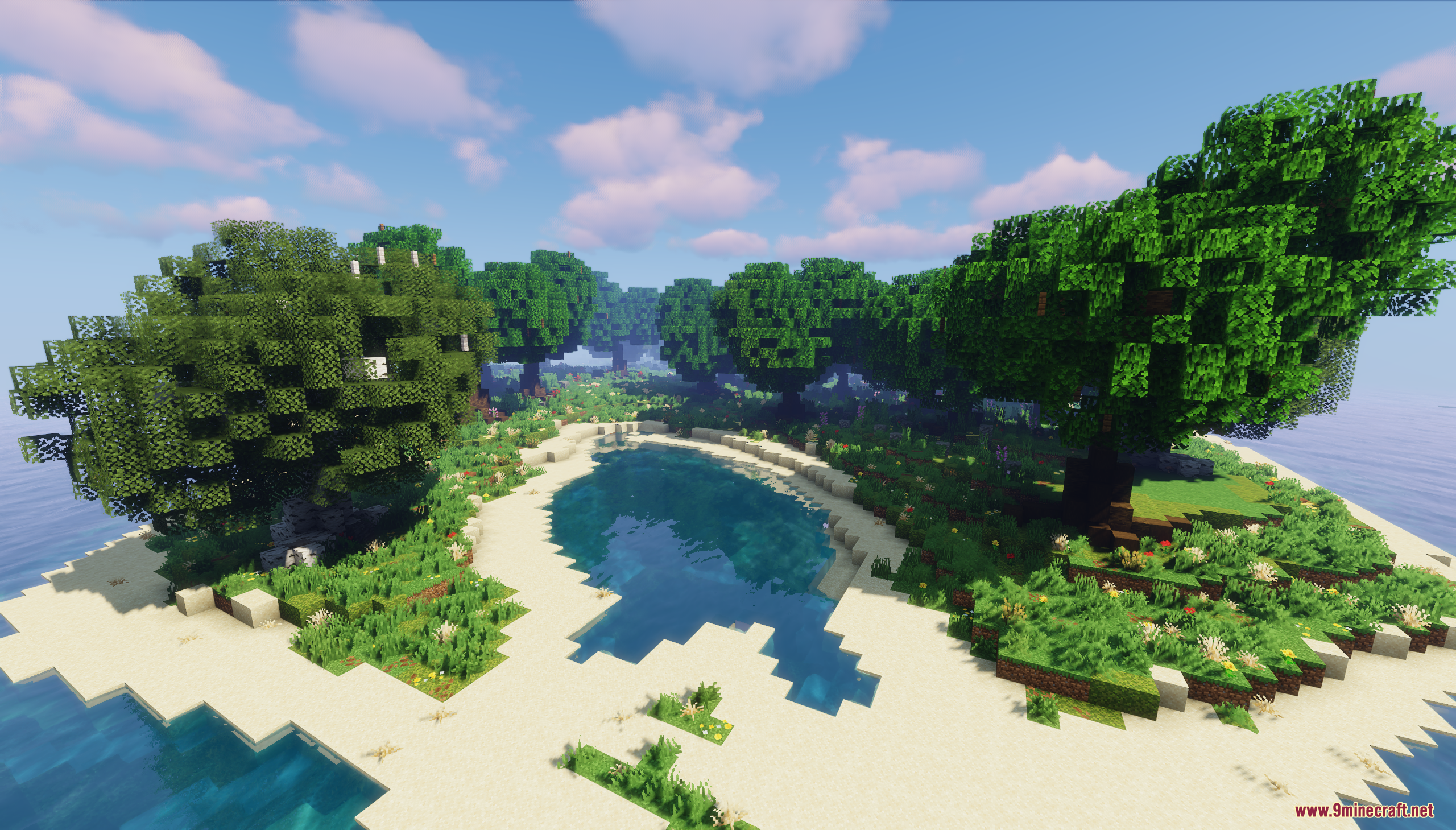 Aerial view of a small sandy cove surrounded by dense custom trees