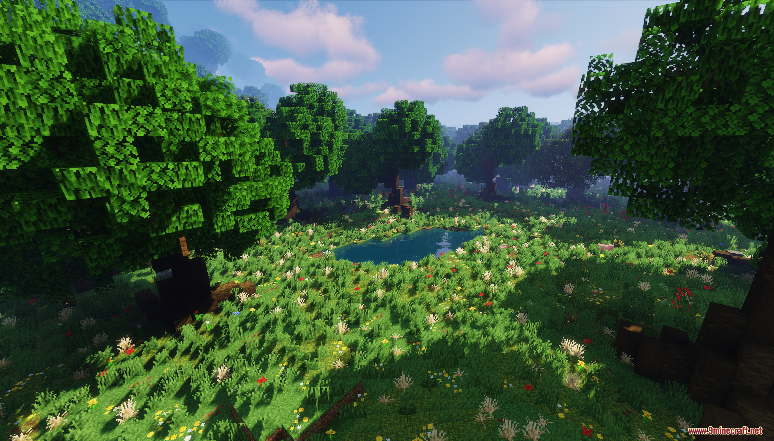 Small pond surrounded by tall grass and colorful flowers in the forest