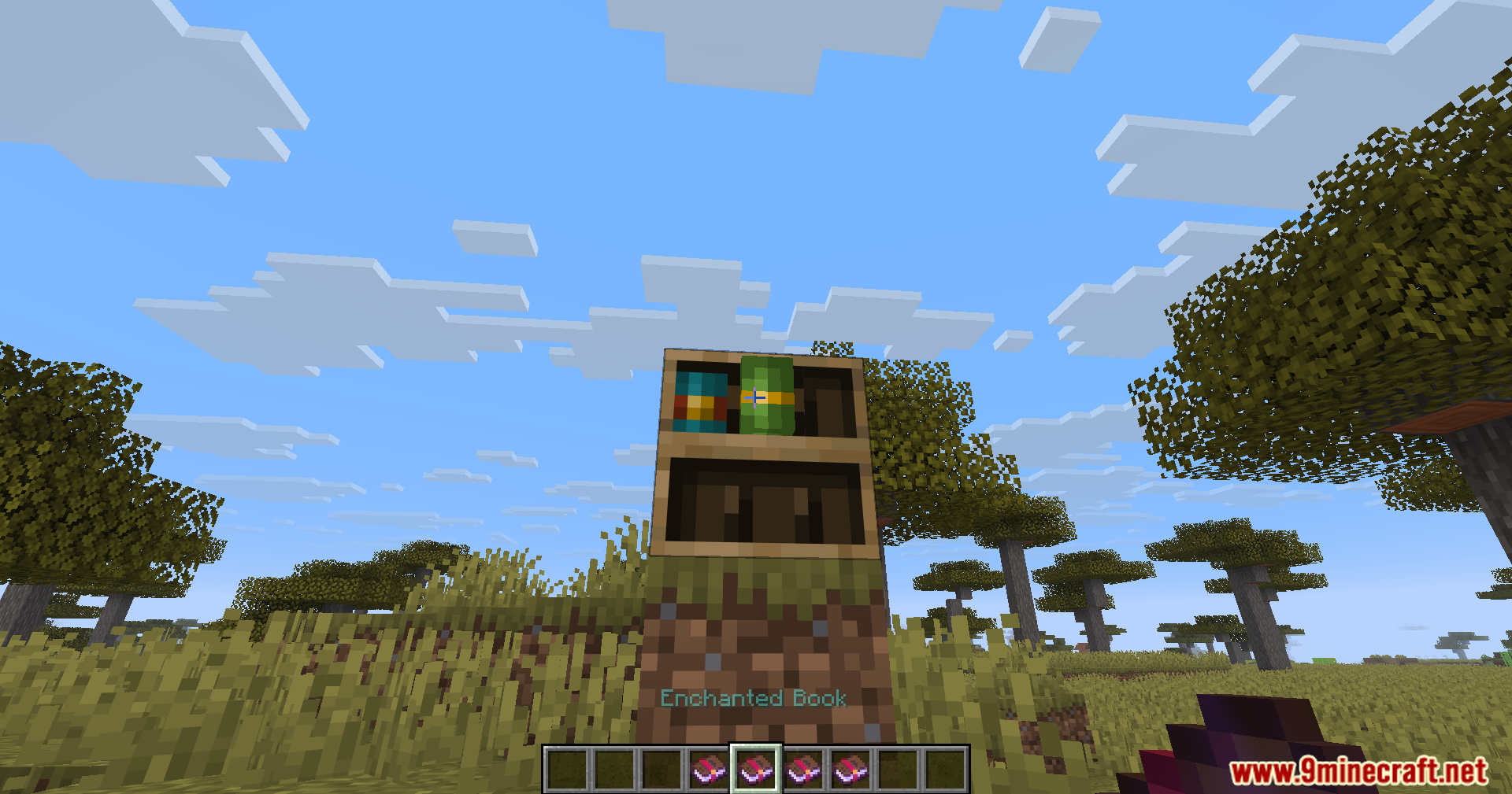 Adding a second colorful book into the wooden chiseled bookshelf