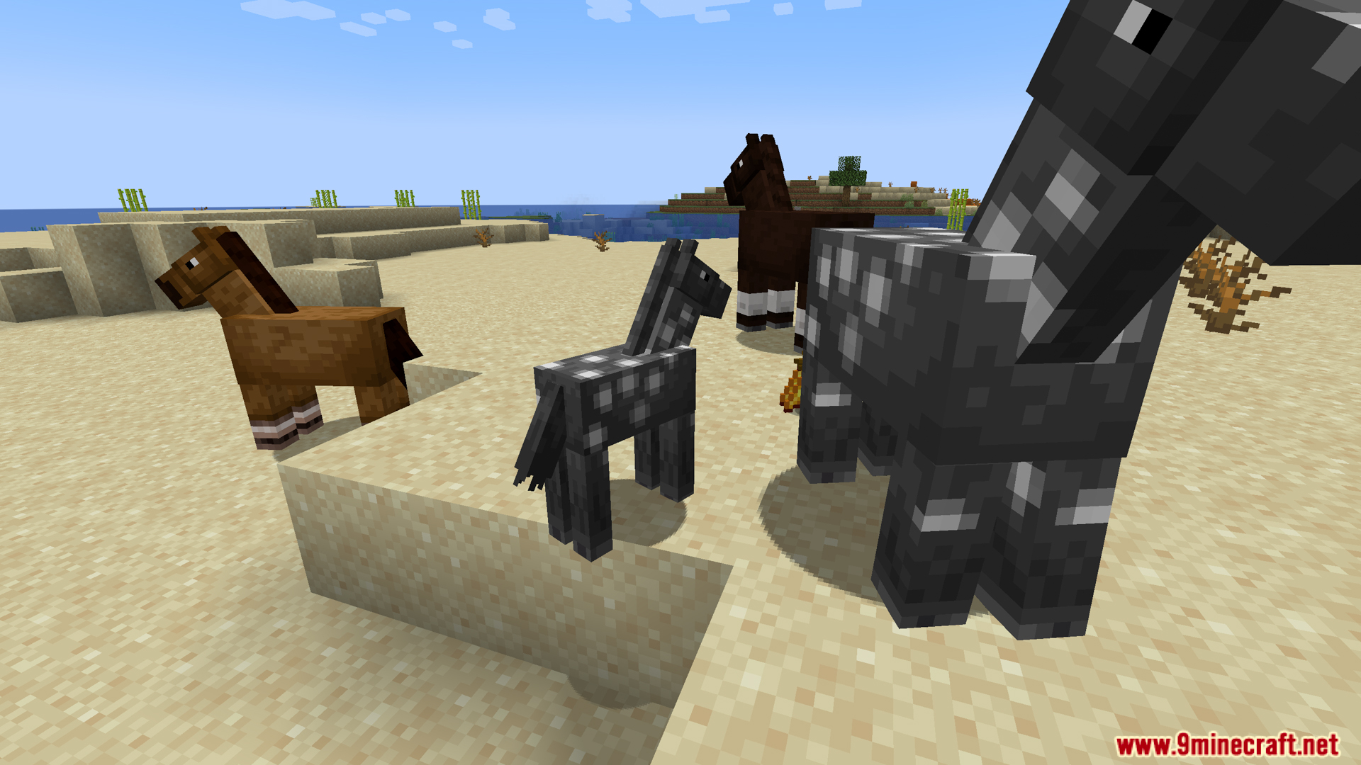 Horse Breeding Fix Mod Screenshot 12
