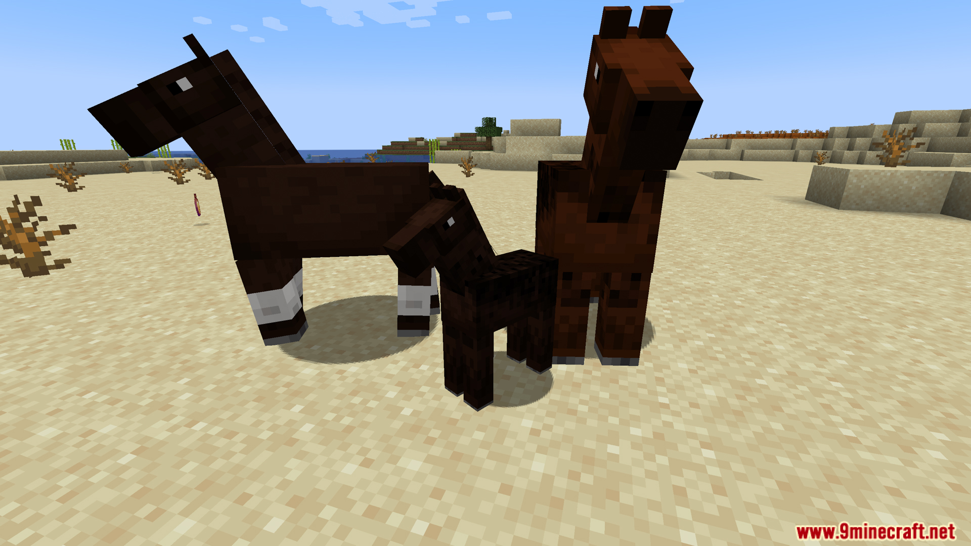 Horse Breeding Fix Mod Screenshot 9