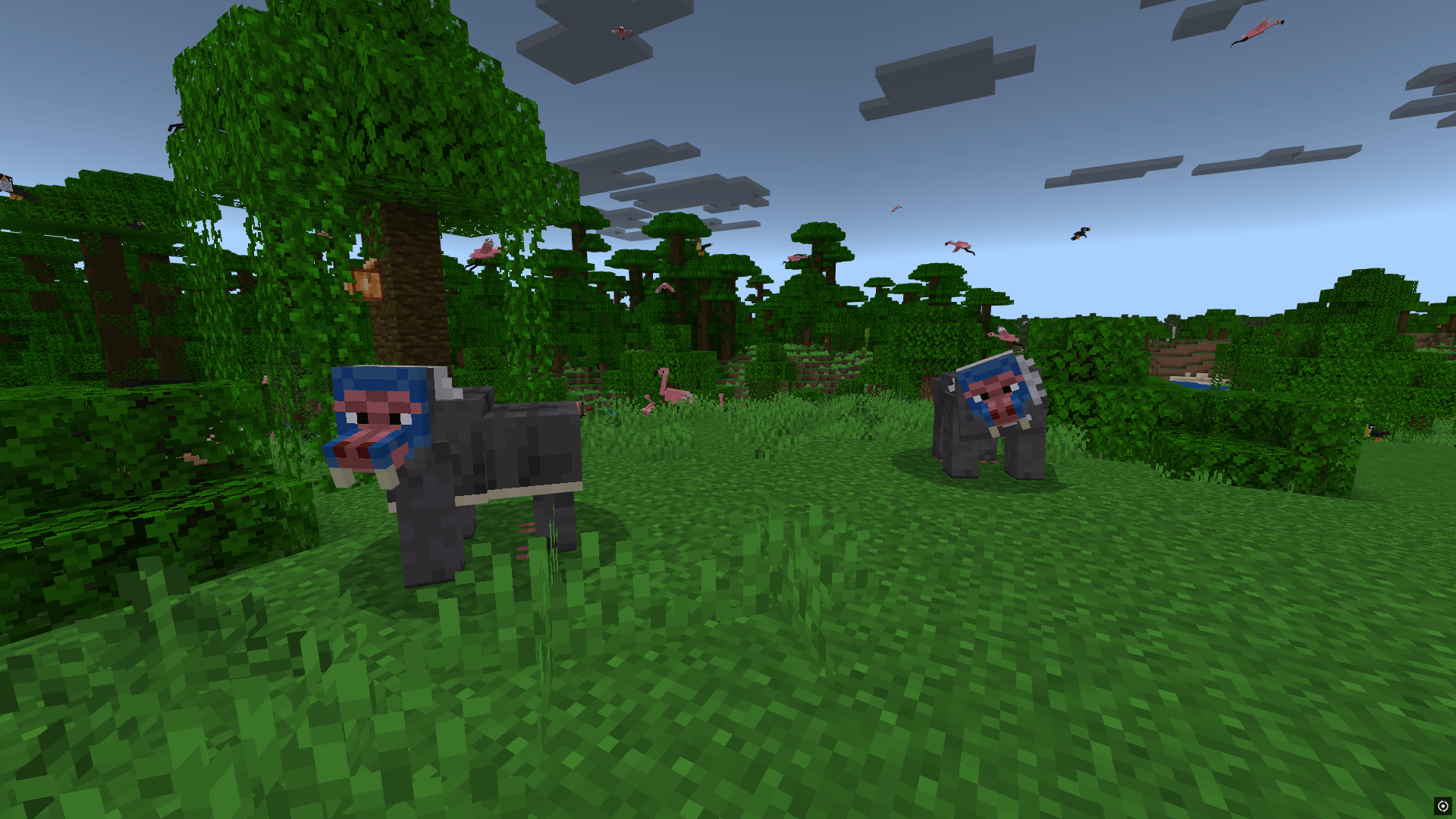 Toucan and other birds on the ground in Immersive Fauna mod