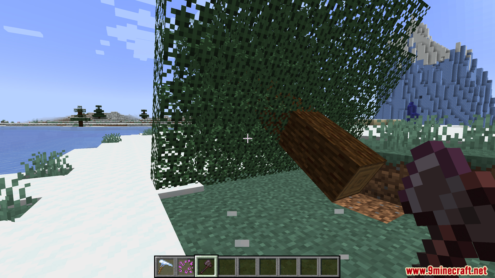 Entire chopped tree falling sideways onto the snowy grass ground