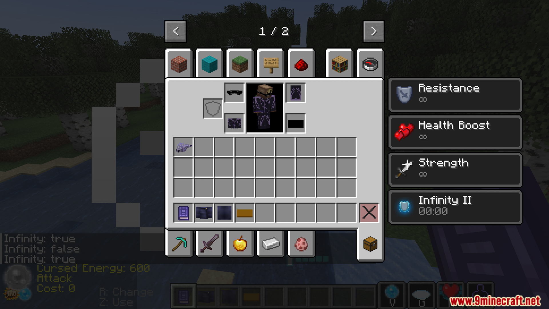 Player inventory screen displaying custom armor slots and Infinity effect