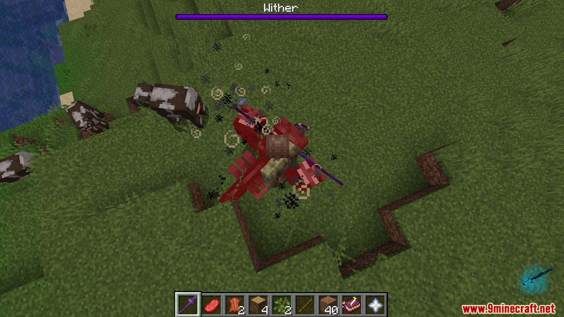 Player fighting a Wither with a special attack