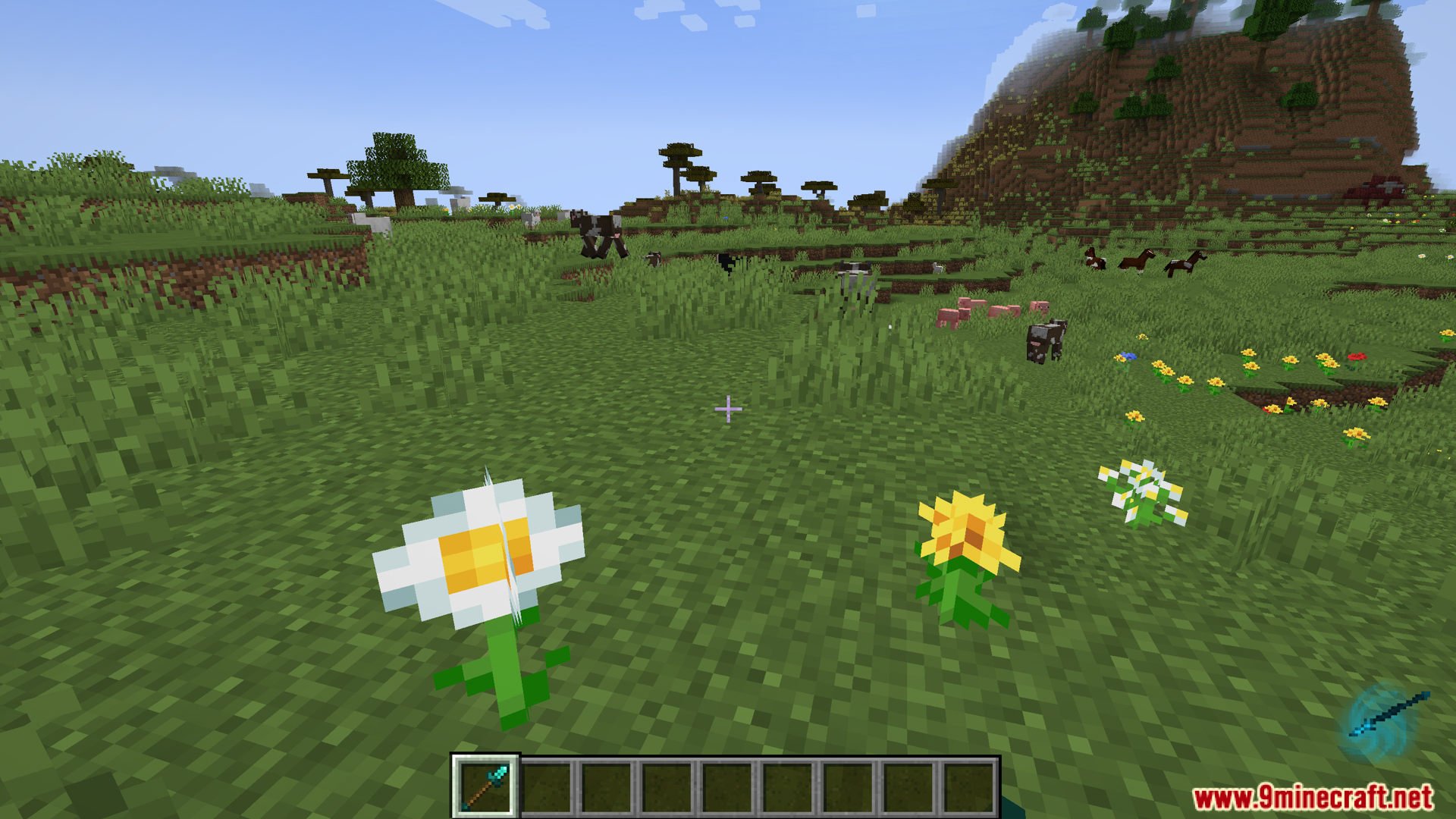 First person view of flowers in a grassy field