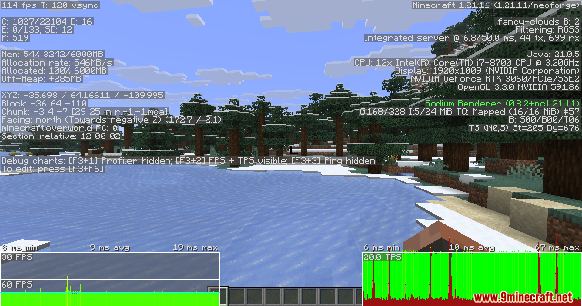 Debug screen showing performance metrics in a snowy biome