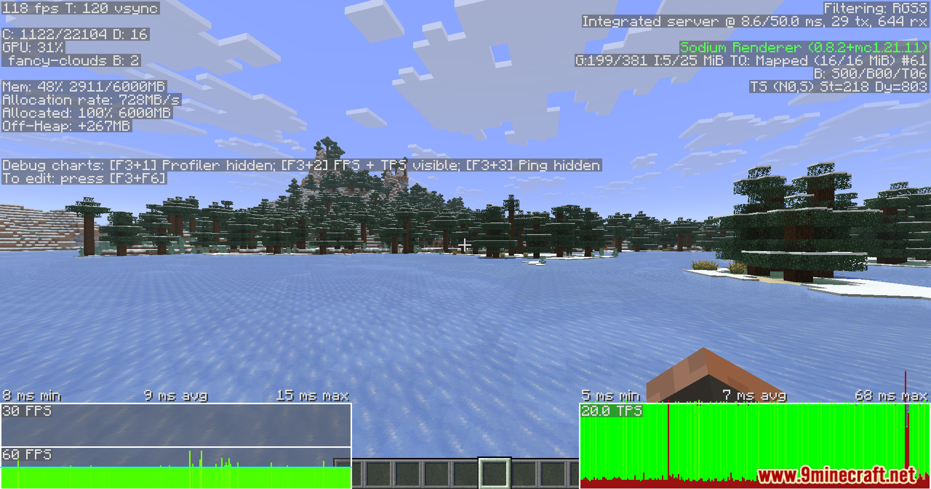 Player viewing performance metrics on a snowy biome landscape
