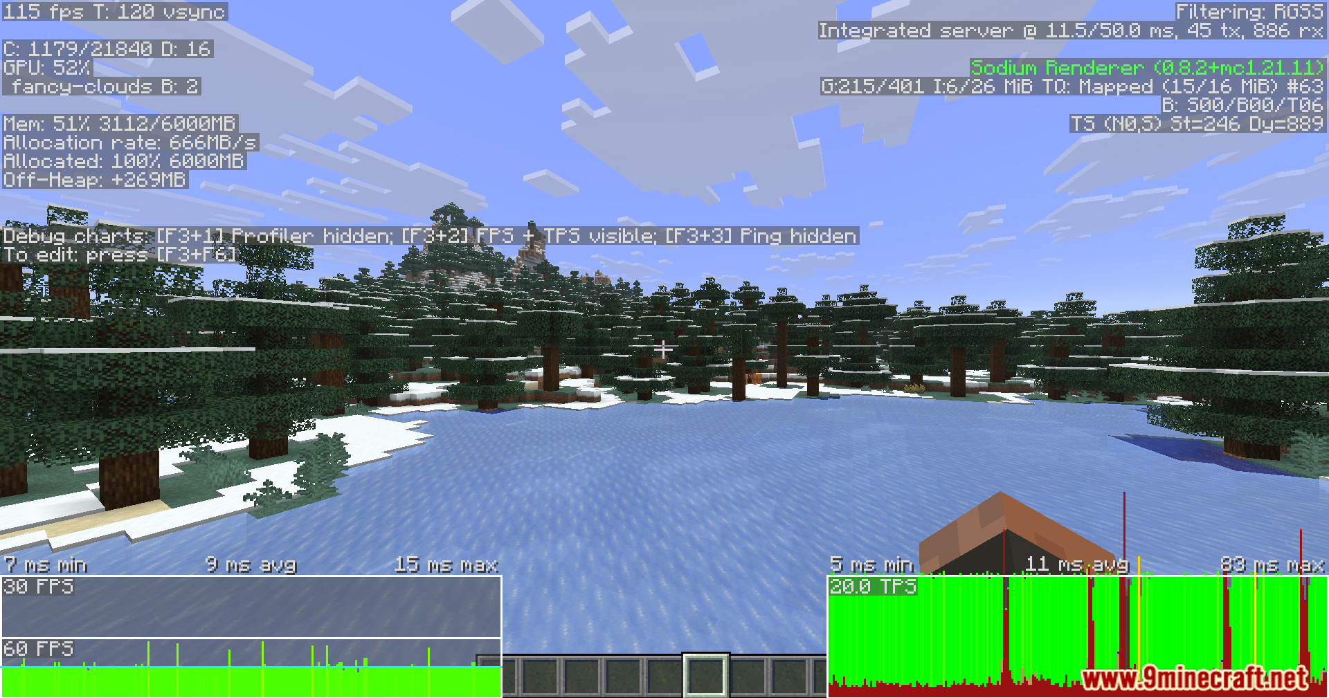 Monitoring server ticks and frames per second in winter forest