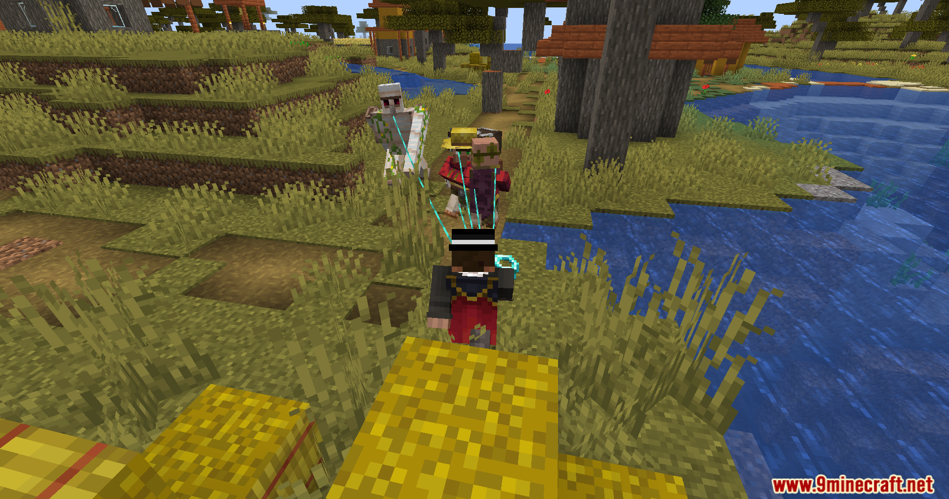 Leashed Mod Screenshot 9 Player using Leashed Mod diamond lead on Iron Golem and Villager