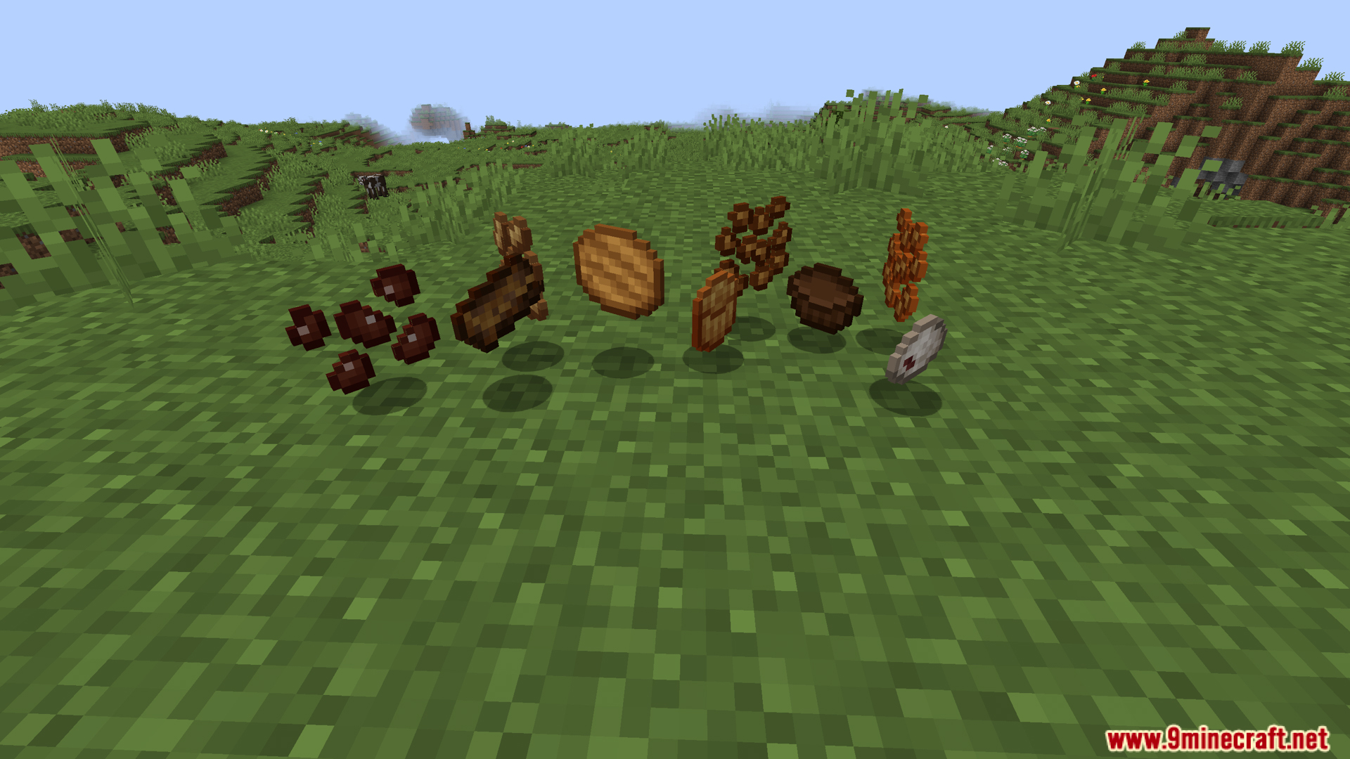 Legume Delight Mod Screenshot 5 Various new food items from Legume Delight Mod on the ground