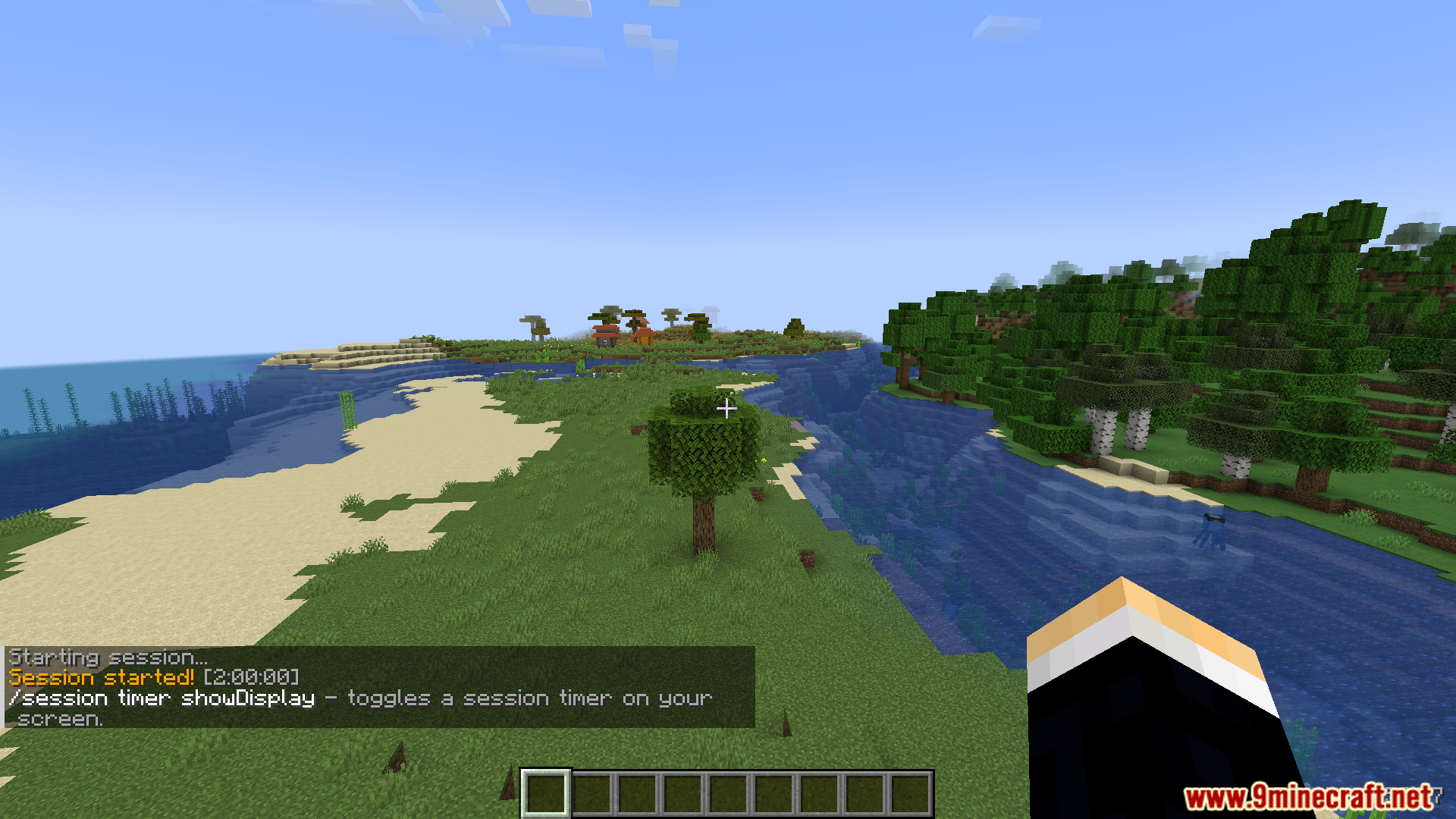 Player starting a session with a timer in Life Series Mod