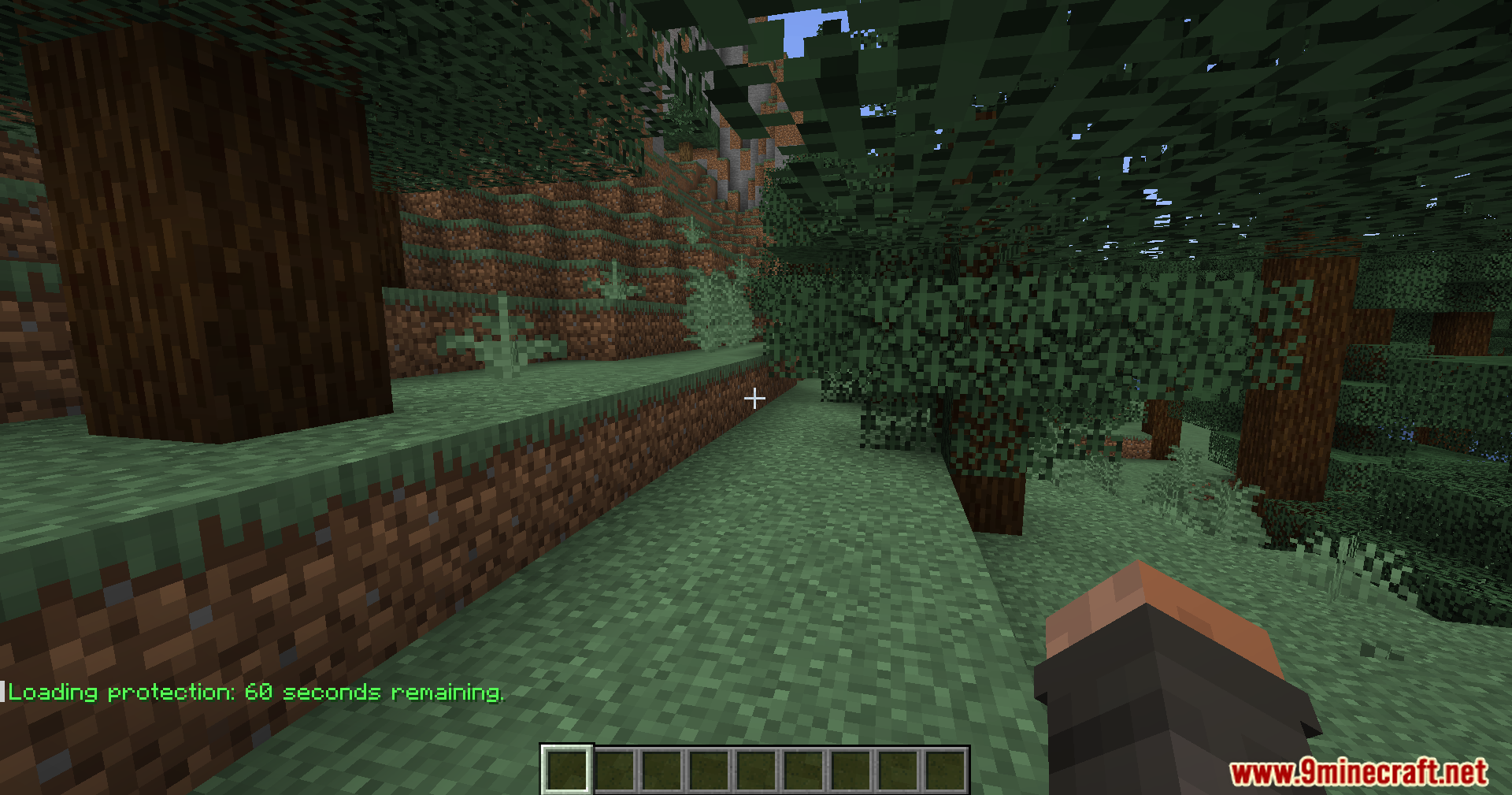 Chat message showing sixty seconds of loading protection remaining