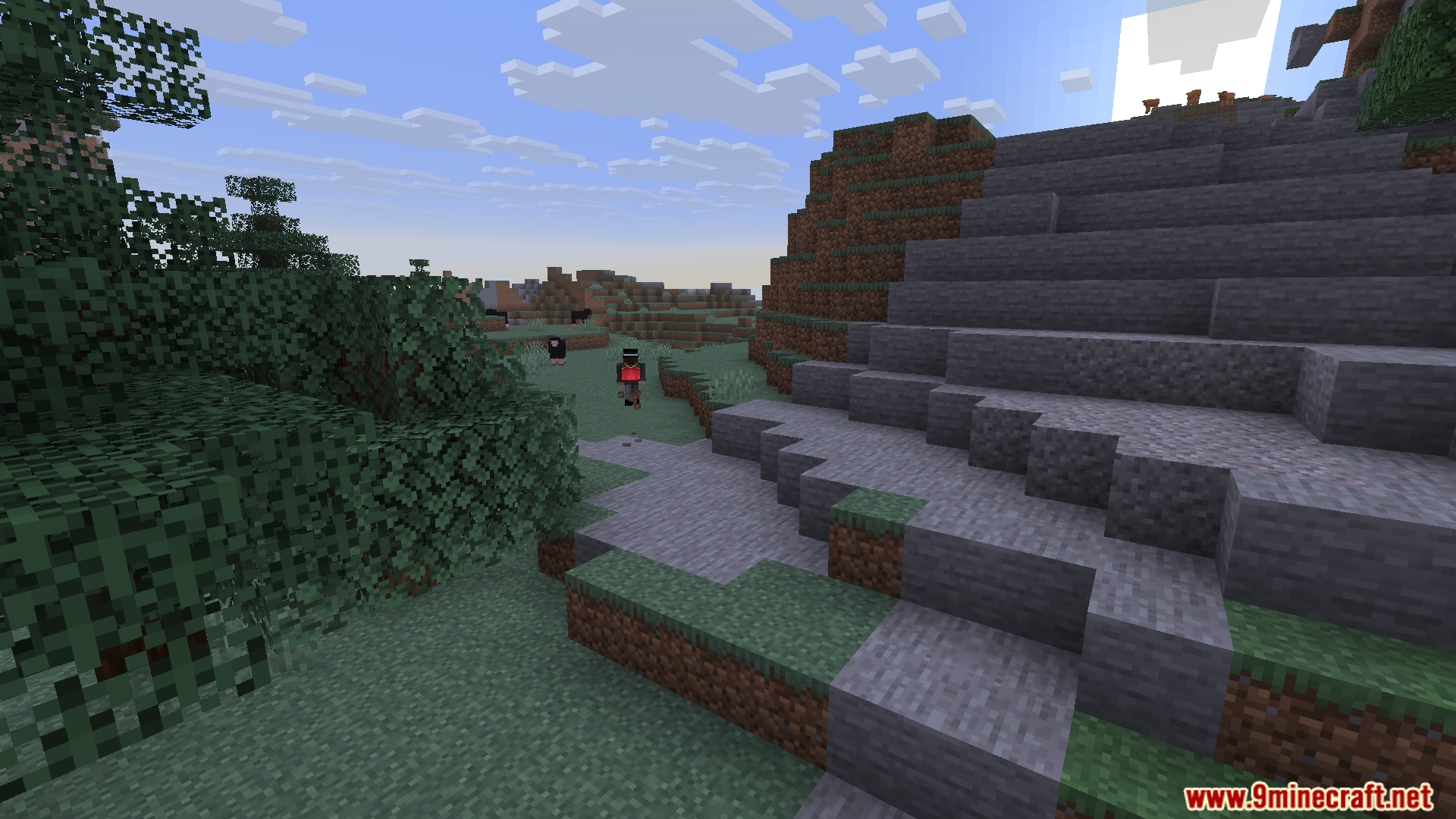 Player character standing near a stone path