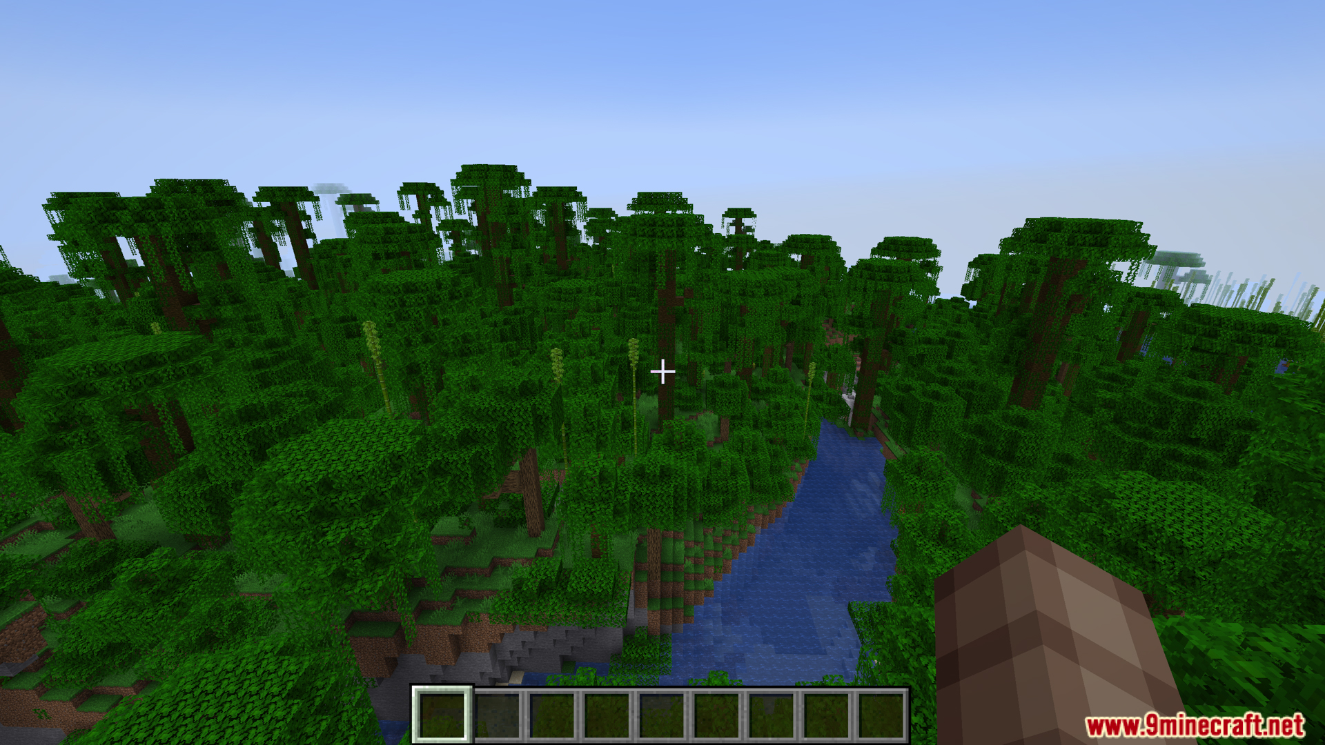 View of a lush green jungle biome in the game