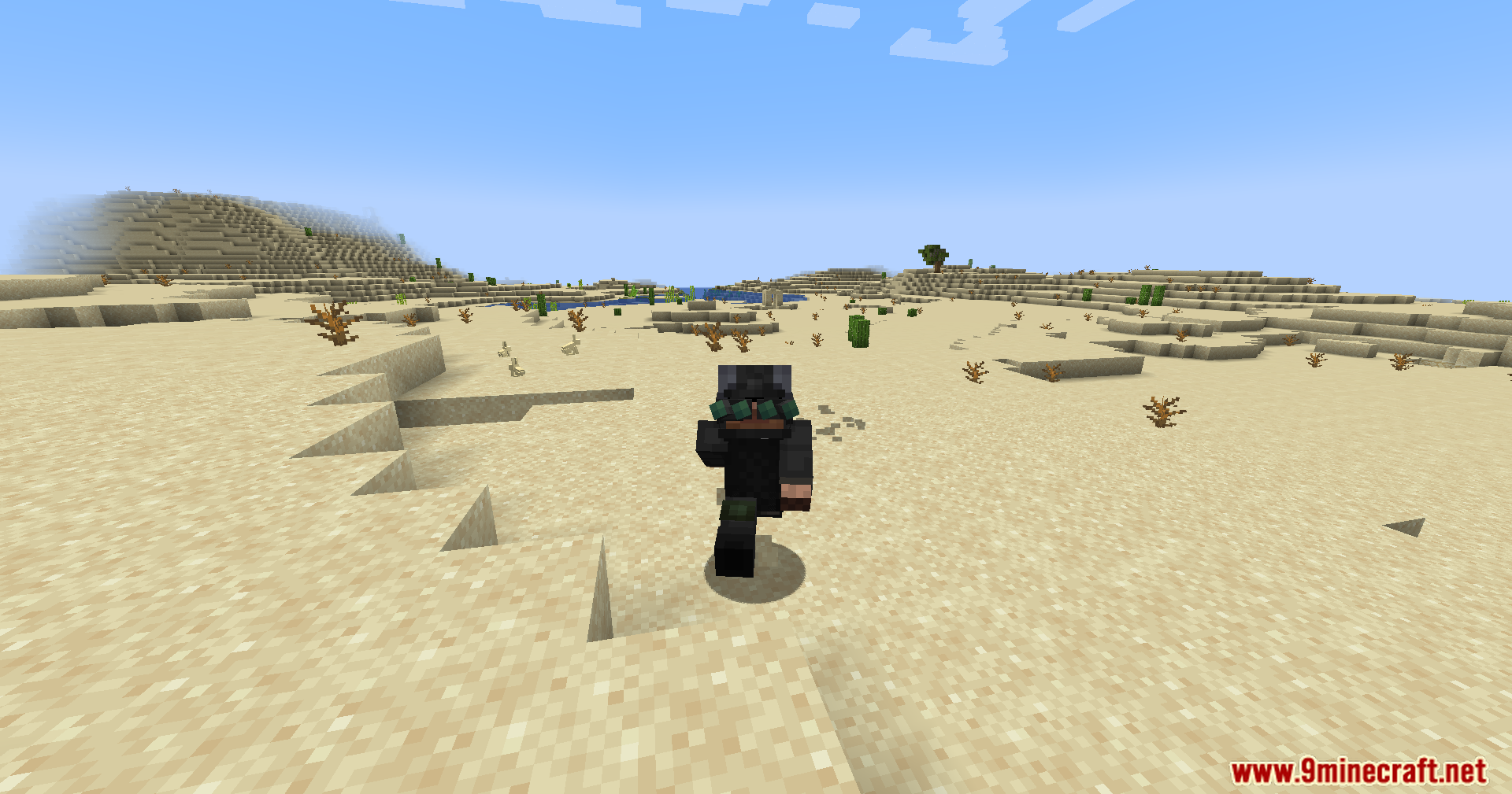 Player character wearing tactical gear in a desert biome