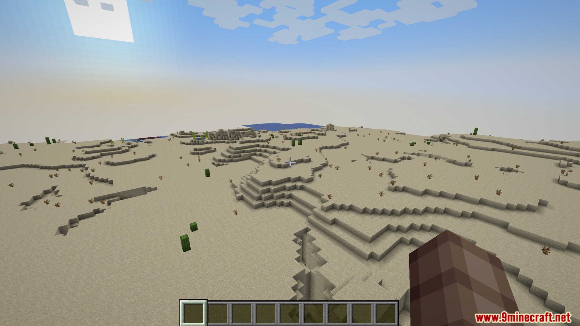 A vast desert biome with a river and cacti