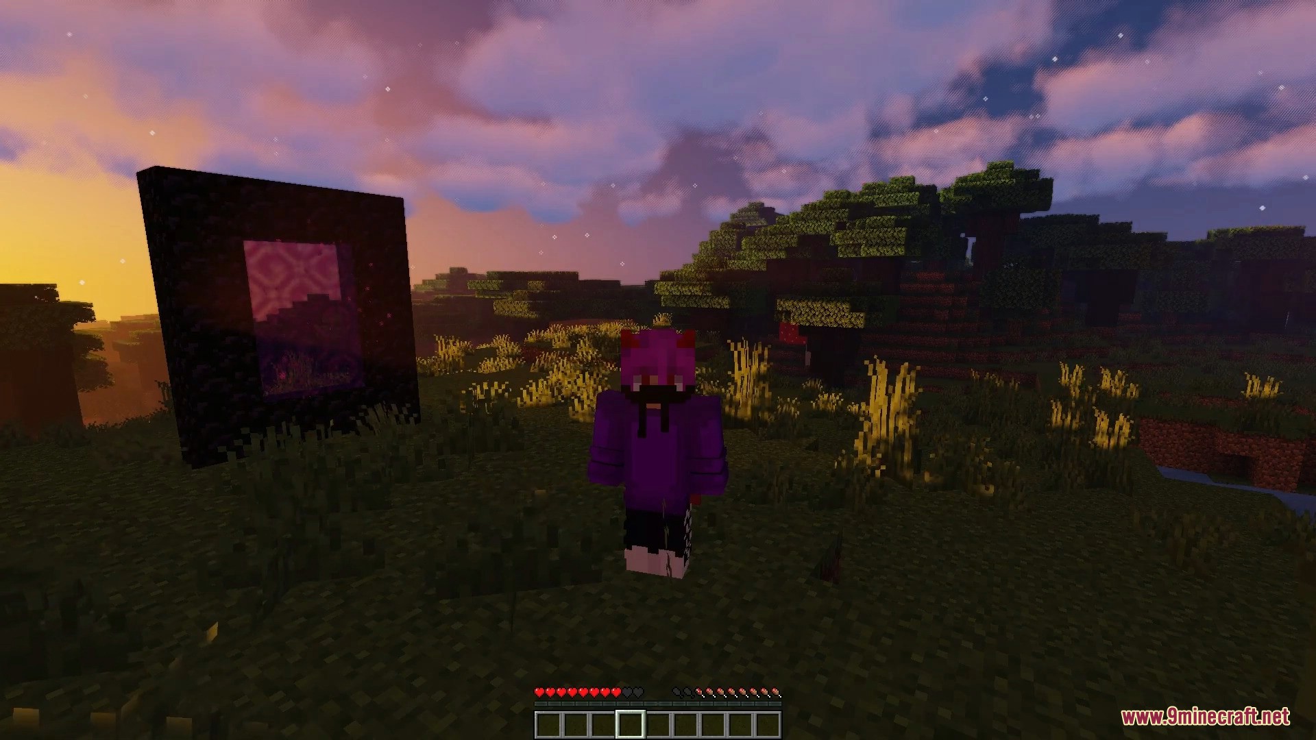 Player character standing in front of a lit nether portal