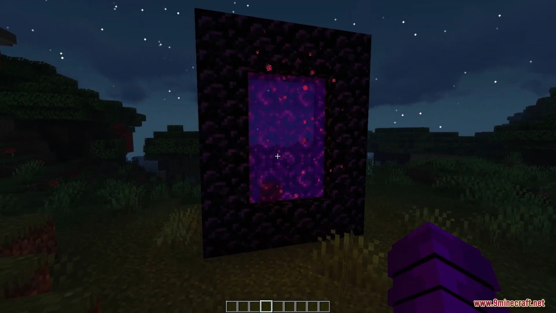 Lit obsidian nether portal standing in a grassy field at night