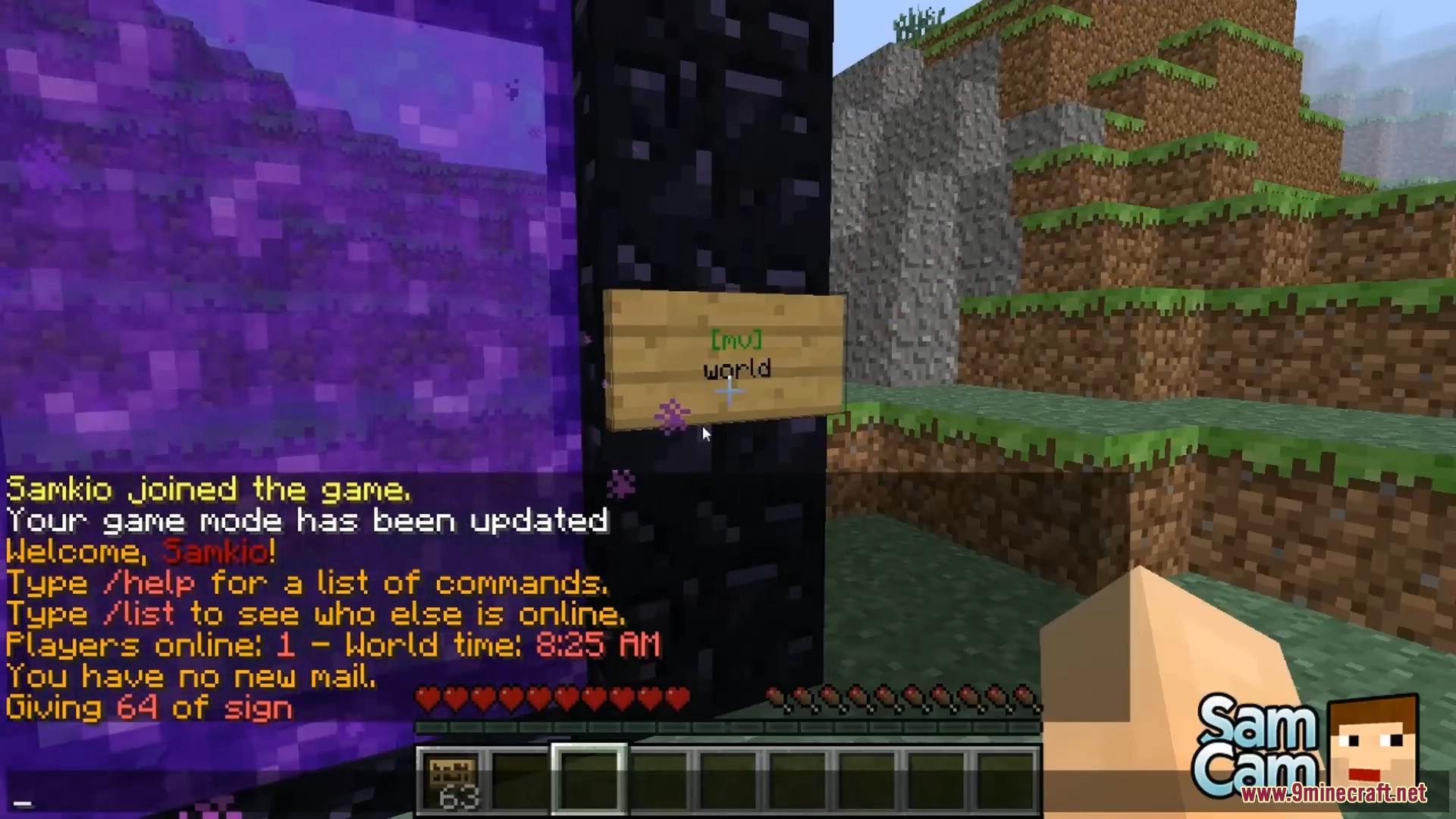 Player placing a wooden sign on a nether portal