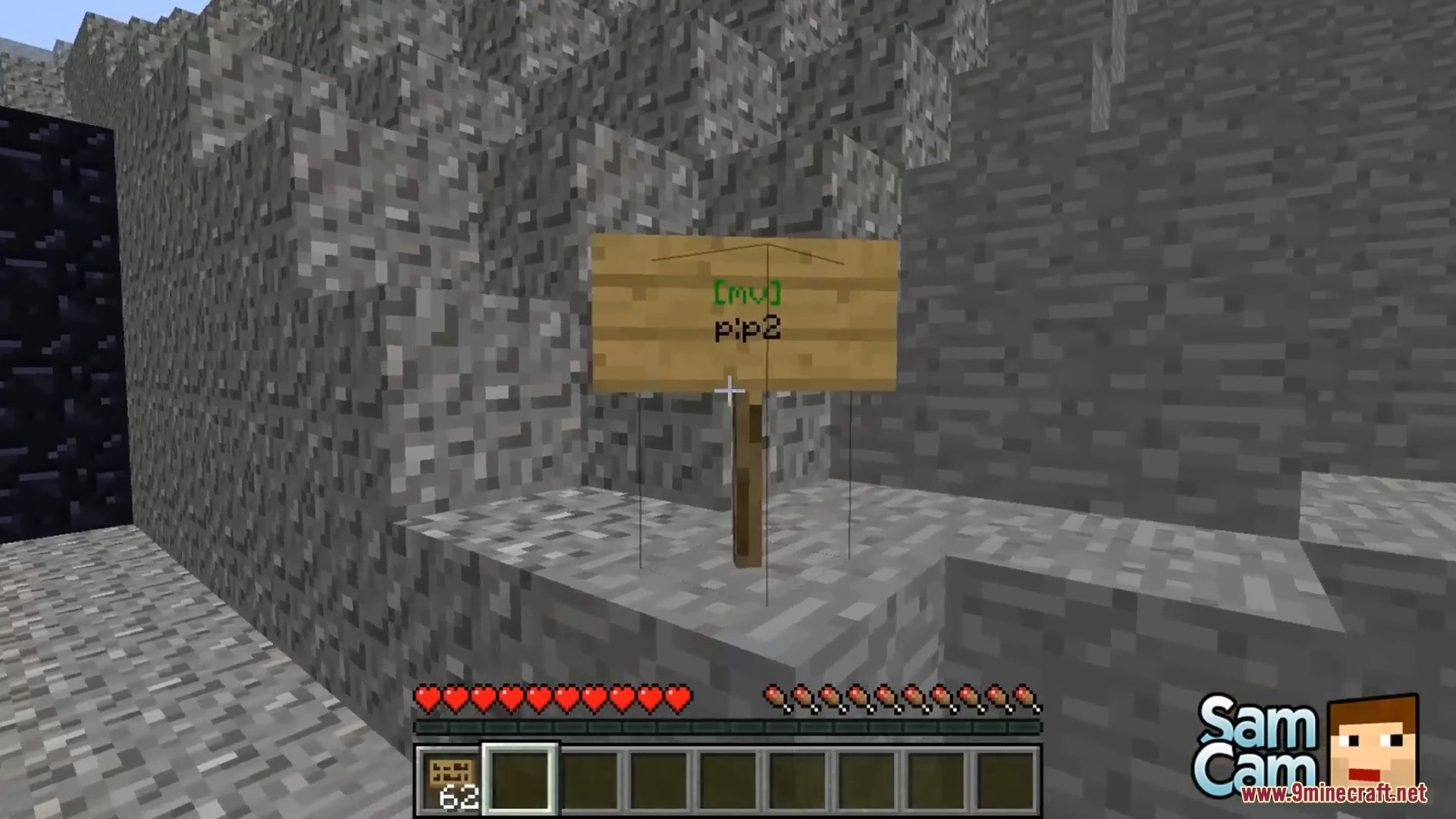 Wooden sign with green text acting as a Multiverse portal