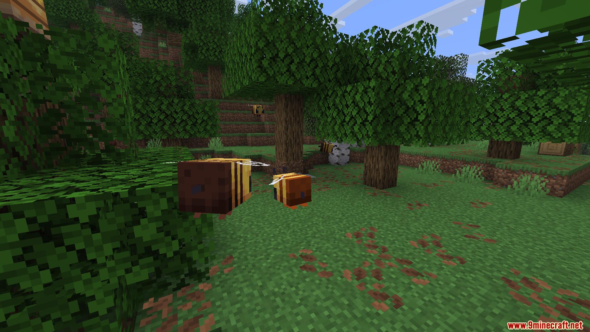 Close up of two bees flying low over grass in a forest