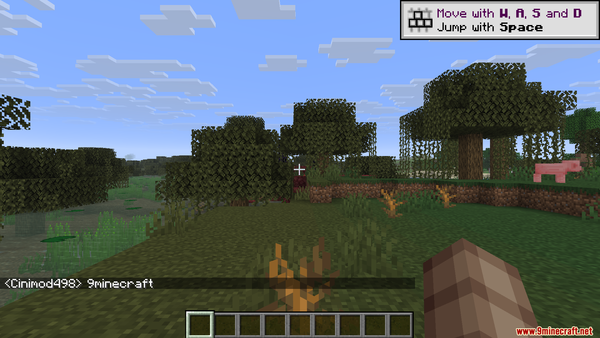 Player in swamp biome typing a message in the game chat