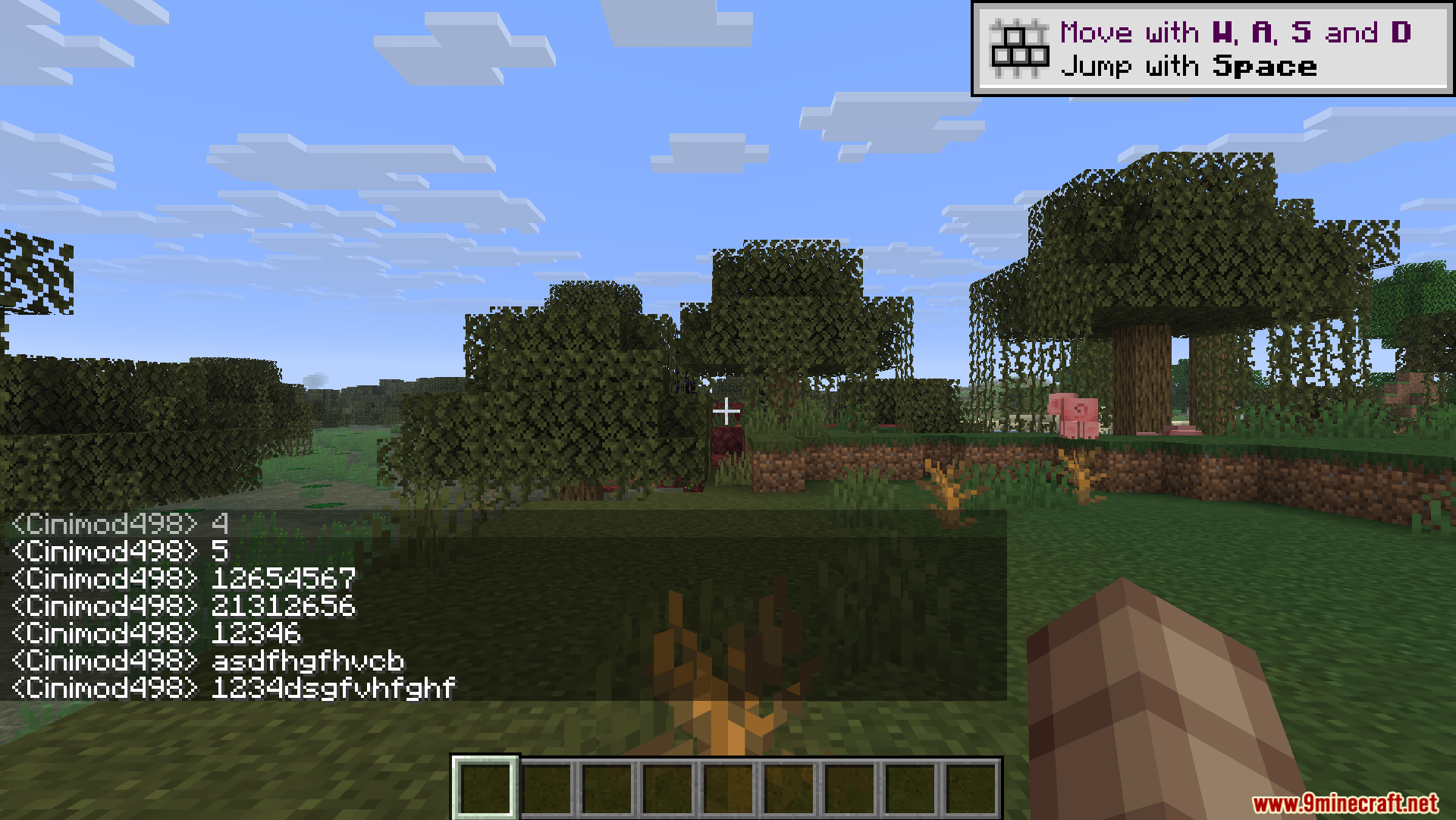 Player sending multiple test messages in the game chat window