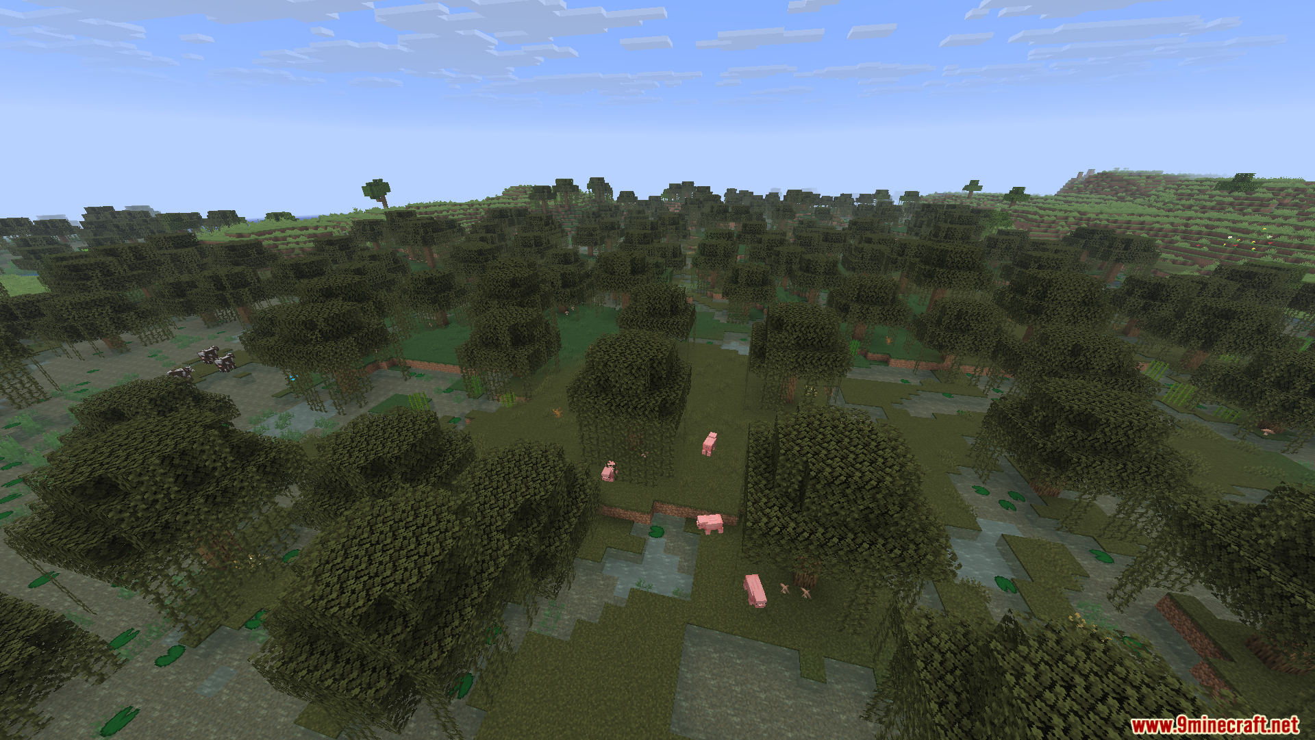 Aerial view of a swamp biome with trees water and pigs