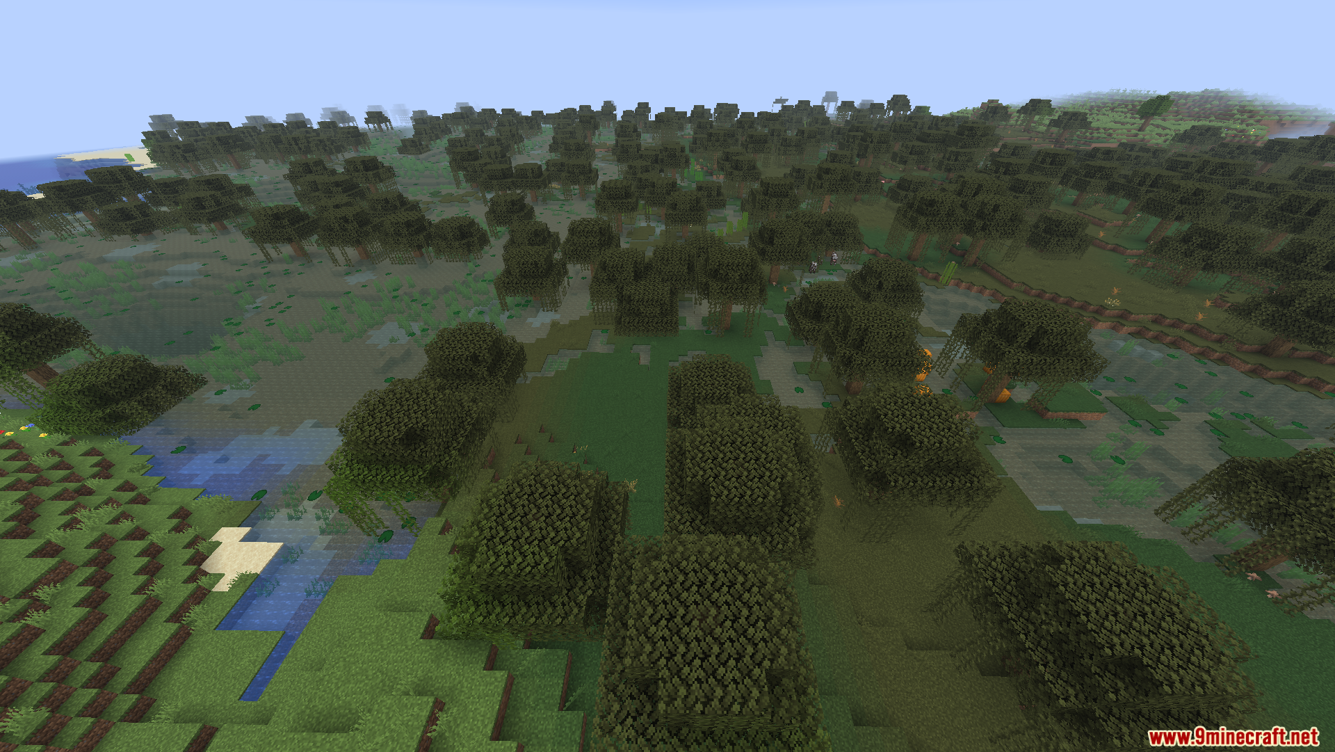 Wide view of a murky swamp biome with trees and water