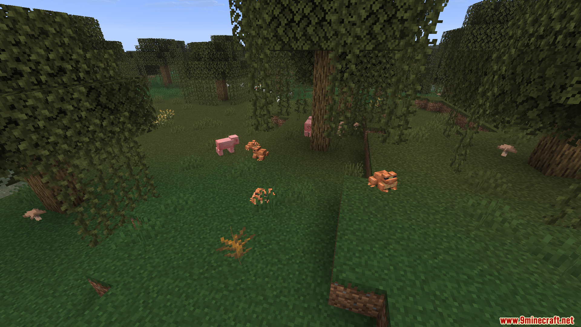 Orange frogs and a pig wandering in a grassy swamp area