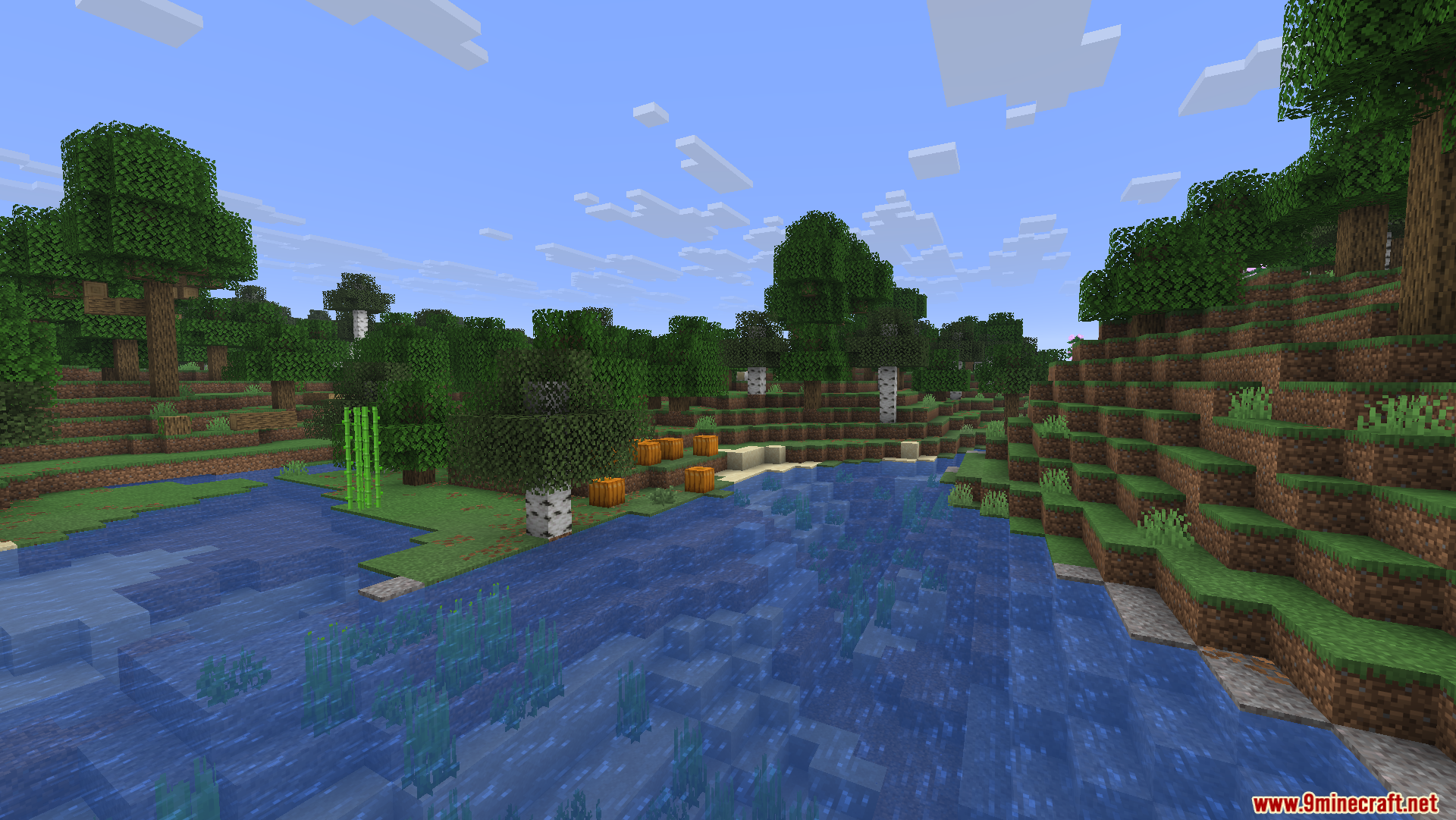 River flowing past pumpkins and sugar cane near a forest