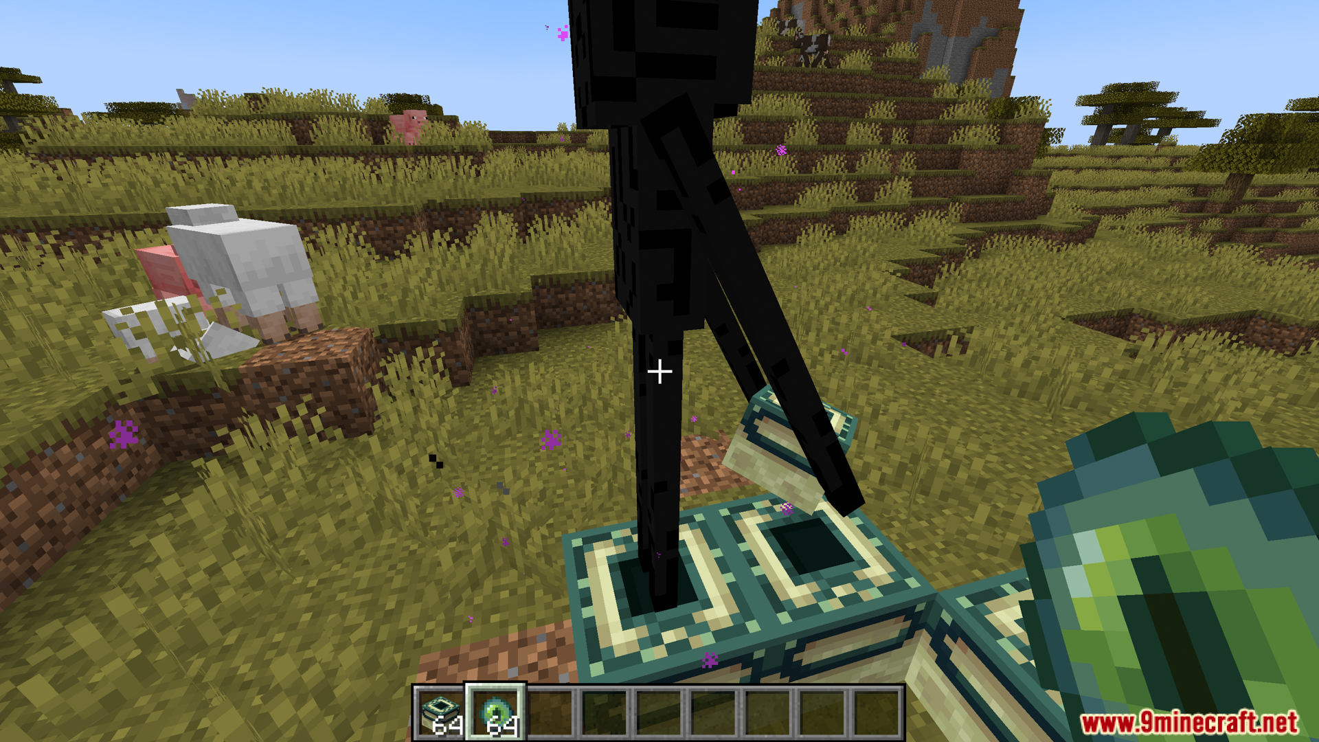 Tall enderman grabbing an end portal frame block after eye placement