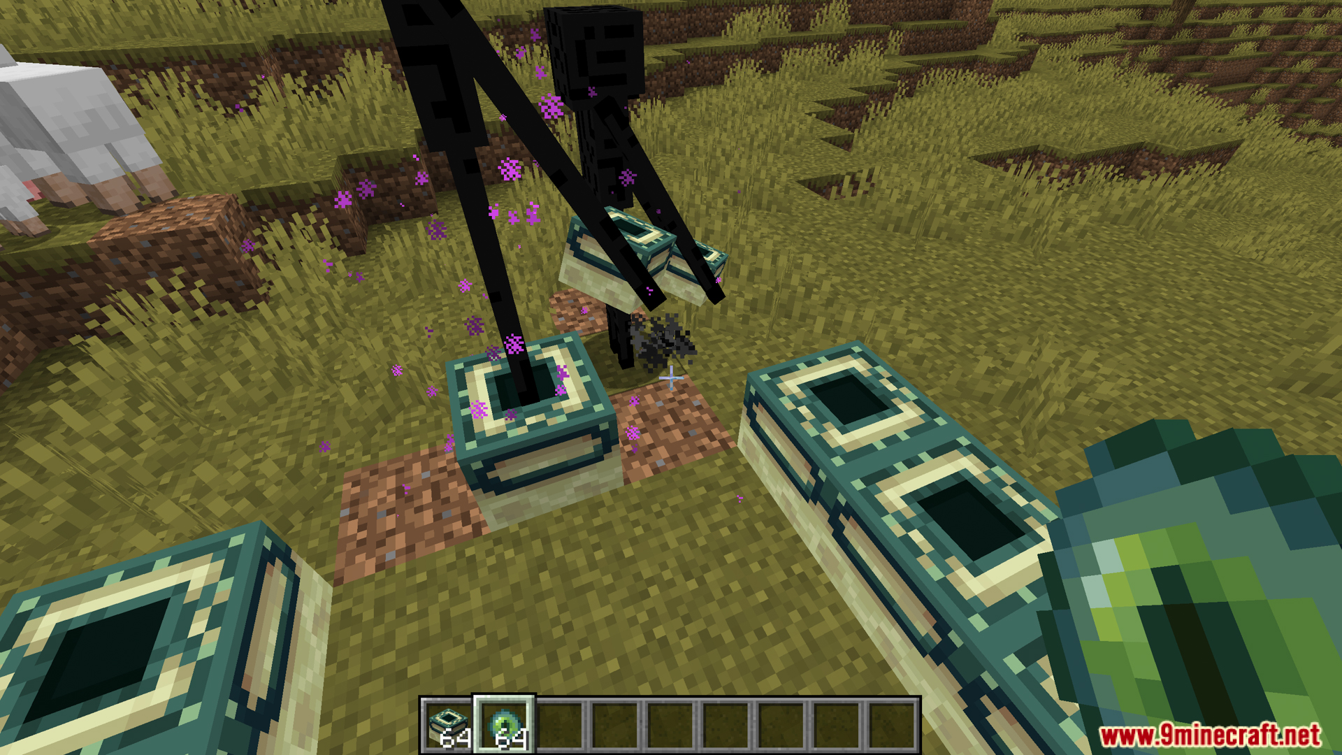 Enderman holding the stolen end portal frame block leaving the area