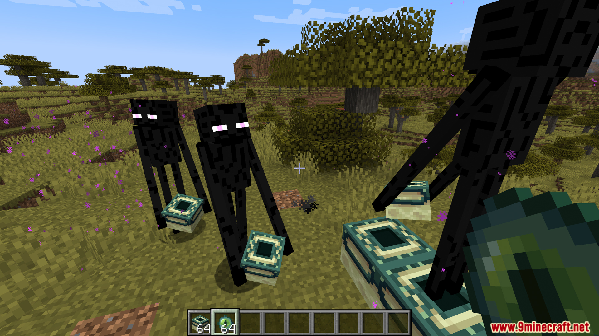 Endermen holding End Portal Frame blocks in a grassy savanna biome