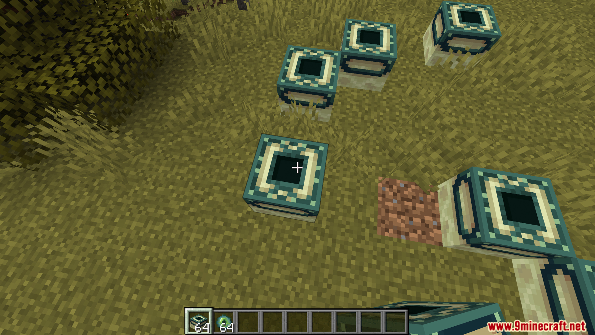 End Portal Frame blocks placed on grass in a savanna