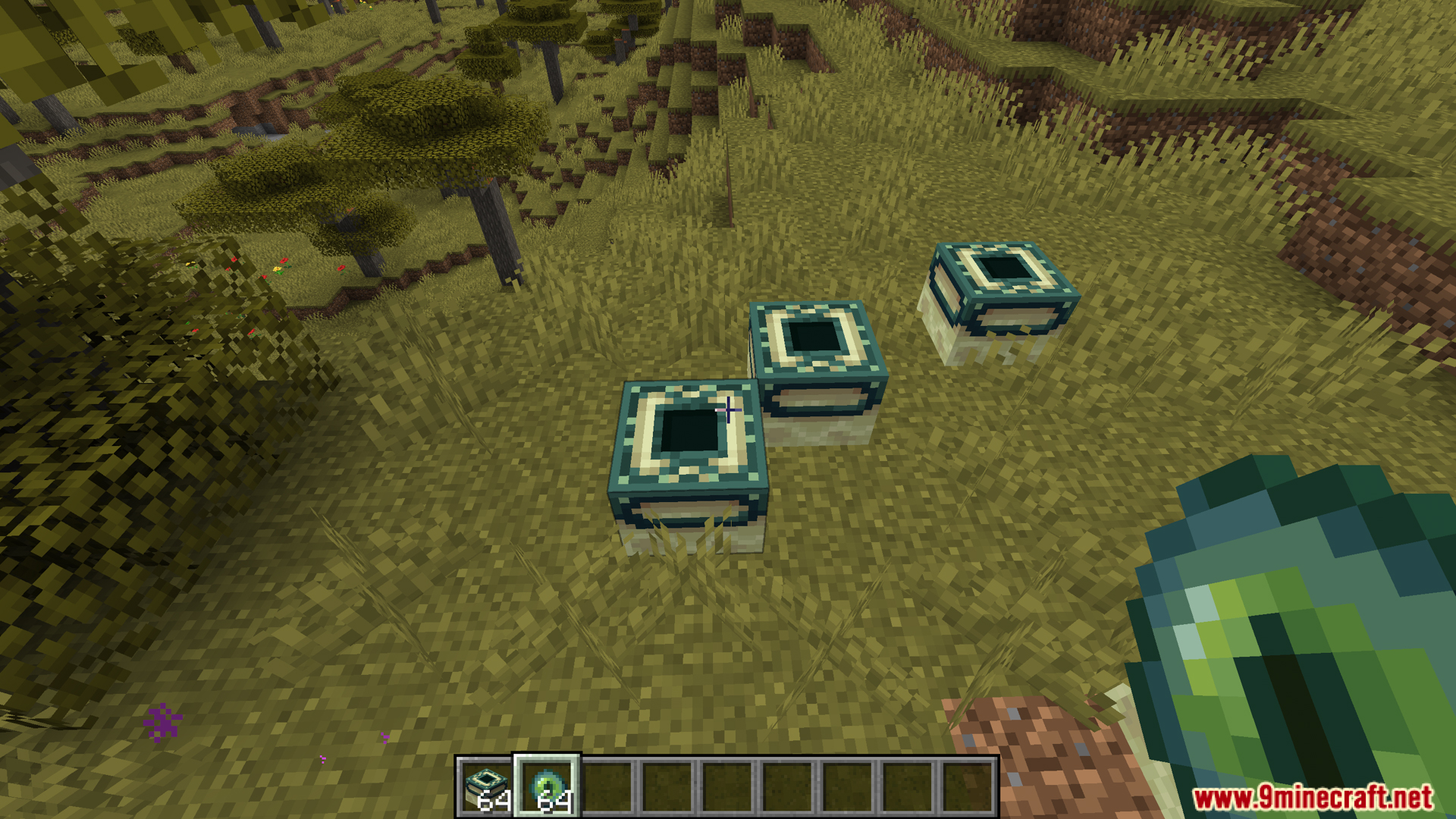 End Portal Frame blocks on the ground in a savanna biome