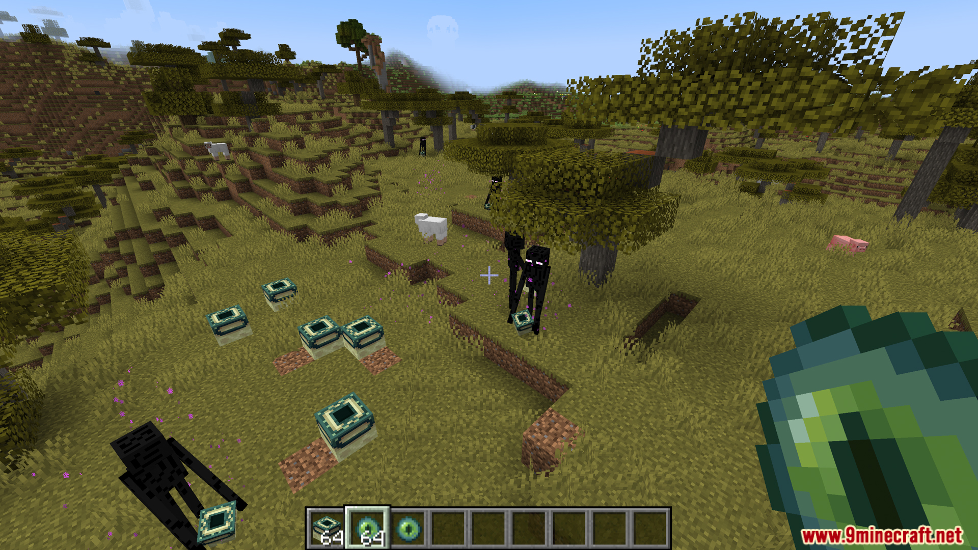 Endermen stealing End Portal Frames in a savanna biome
