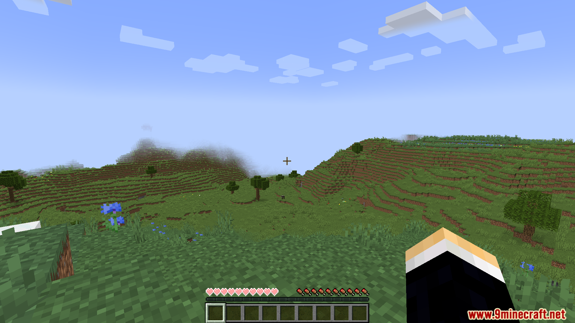 Player health bar displaying exact fractional heart depletion