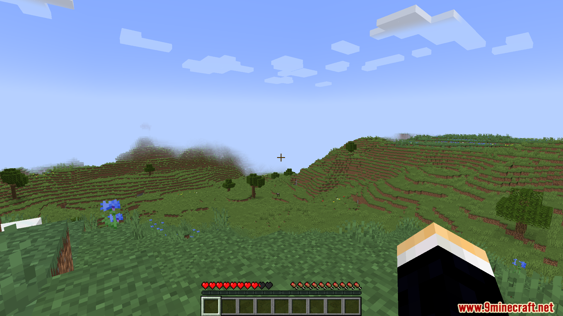 Health bar showing custom pixel removal during gameplay