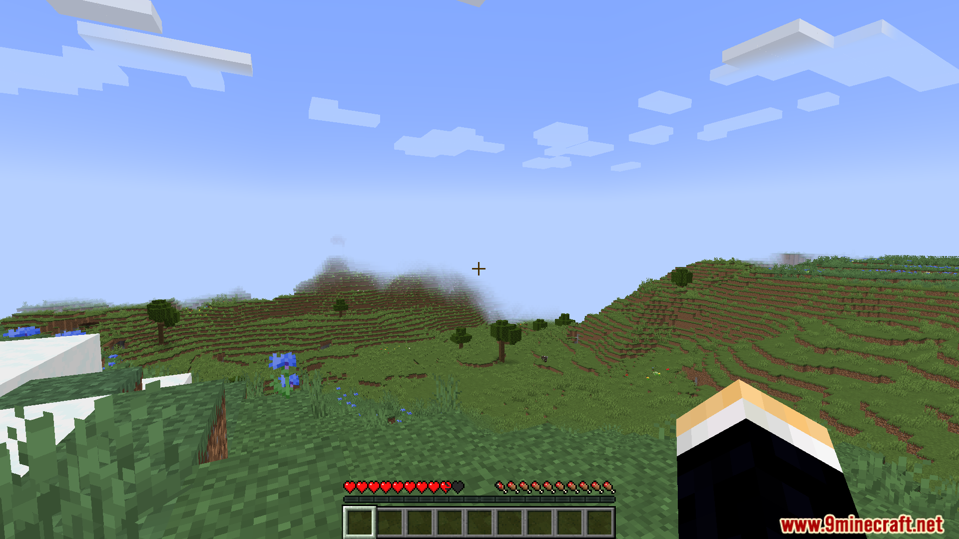 Player looking at a grassy landscape with full health bar